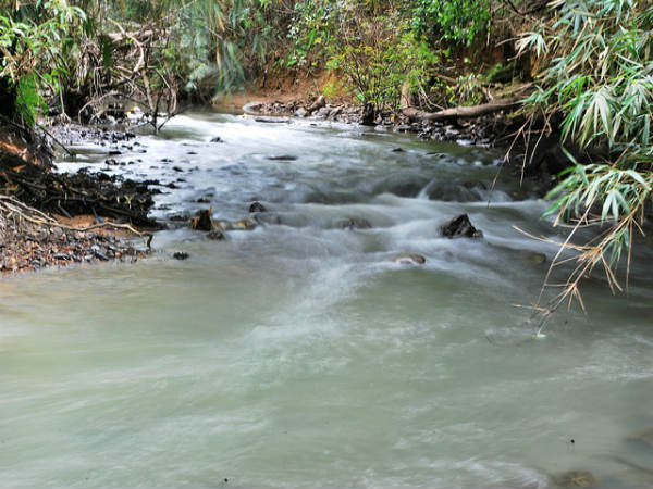 ಹಾಸನ ಜಿಲ್ಲೆ: