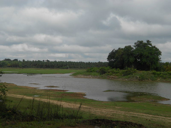 ಹಾಸನ ಜಿಲ್ಲೆ: