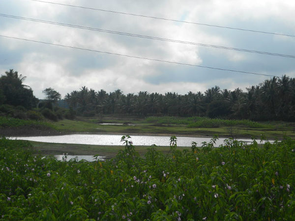 ಹೊನ್ನಮ್ಮನ ಕೆರೆ