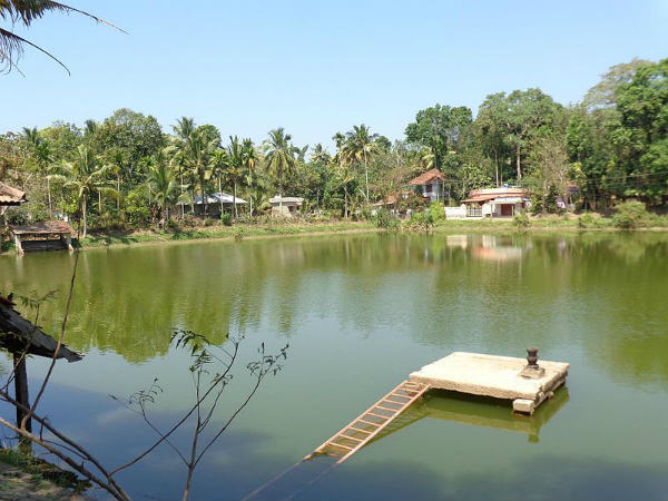 ದ.ಭಾರತದ ಕಲ್ಯಾಣಿಗಳು:
