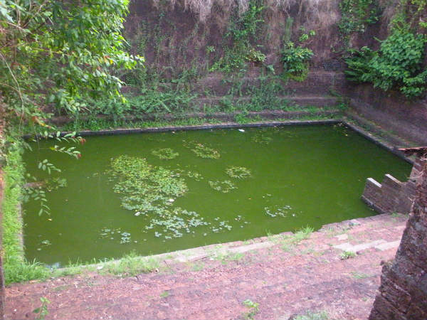 ದ.ಭಾರತದ ಕಲ್ಯಾಣಿಗಳು: