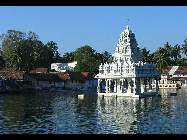 ದ.ಭಾರತದ ಕಲ್ಯಾಣಿಗಳು: