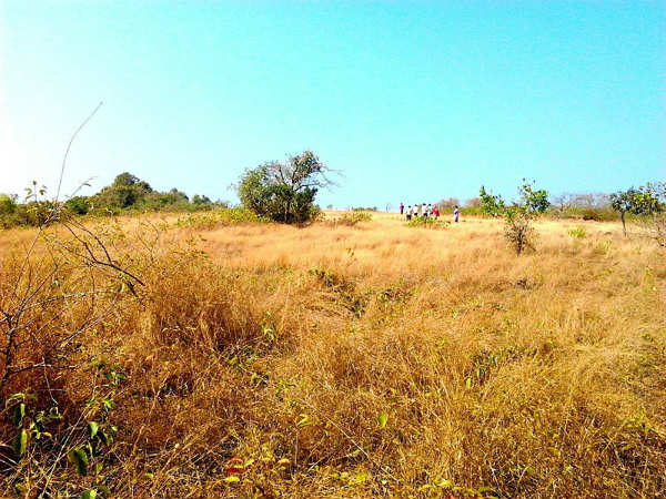 ಕರ್ನಾಟಕದ ಸುಂದರ ದ್ವೀಪಗಳು: