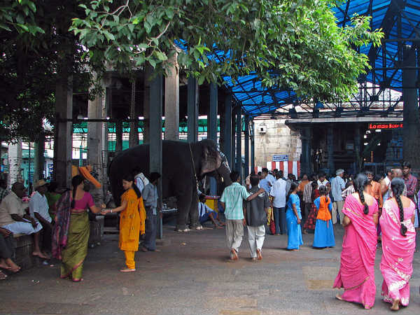 ನಾಗದೋಷ ನಿವಾರಣಾ ಕ್ಷೇತ್ರಗಳು: