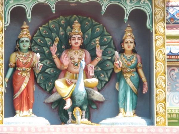 ನಾಗದೋಷ ನಿವಾರಣಾ ಕ್ಷೇತ್ರಗಳು: