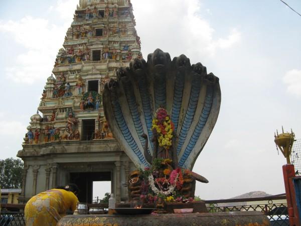 ನಾಗದೋಷ ನಿವಾರಣಾ ಕ್ಷೇತ್ರಗಳು: