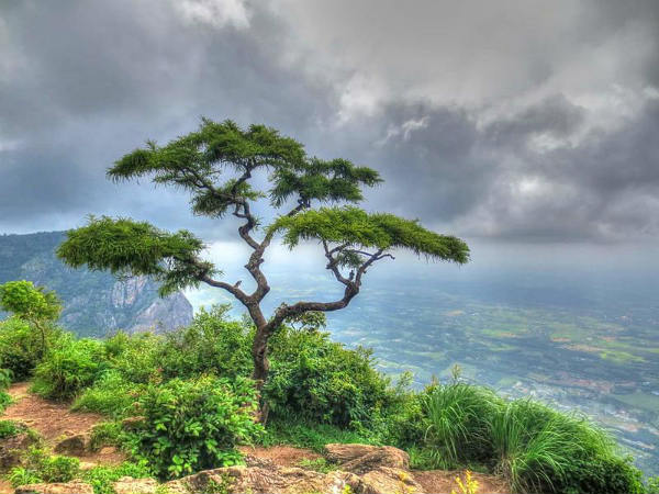 ಕೇರಳದ ಕಳೆ ಹೊತ್ತ ಗಿರಿಧಾಮಗಳು: