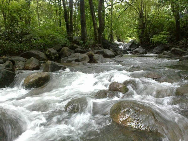 ನಂಜನಗೂಡಿನಿಂದ ನೀಲಂಬೂರು: