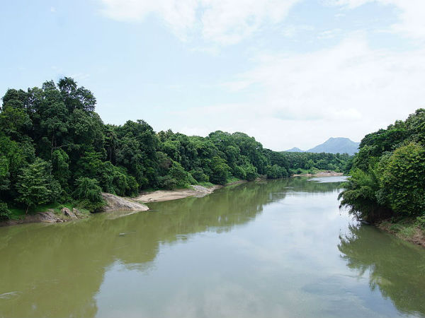 ನಂಜನಗೂಡಿನಿಂದ ನೀಲಂಬೂರು:
