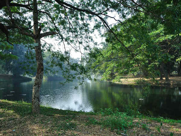 ನಯನಮನೋಹರ ಸಸ್ಯೋದ್ಯಾನಗಳು: