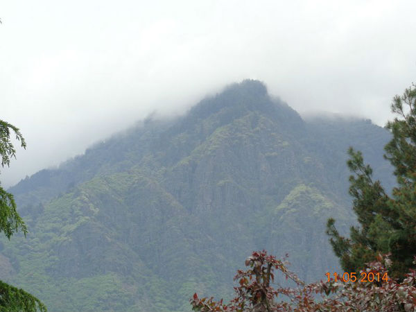 ನಯನಮನೋಹರ ಸಸ್ಯೋದ್ಯಾನಗಳು: