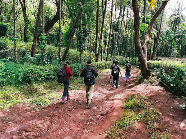 ಕೆಮ್ಮಣ್ಣುಗುಂಡಿ ಗಿರಿಧಾಮ: