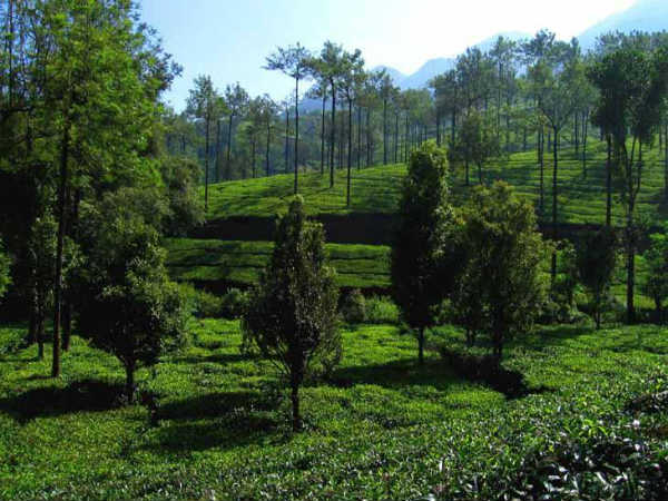 ಮೋಡಿ ಮಾಡುವ ತೆಕ್ಕಡಿ:
