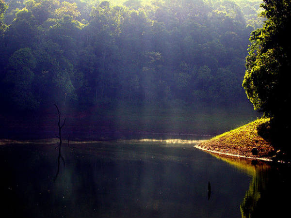 ಮೋಡಿ ಮಾಡುವ ತೆಕ್ಕಡಿ: