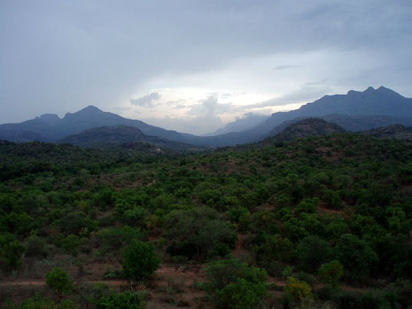 ಅಣ್ಣಾಮಲೈ ಪರ್ವತ ಶ್ರೇಣಿ: