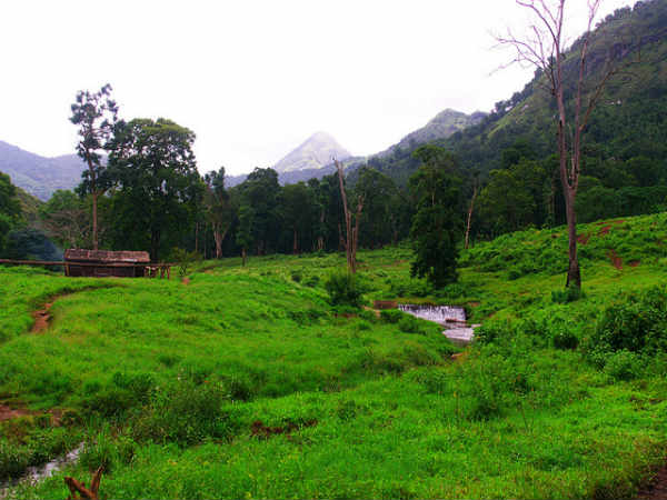 ಅಣ್ಣಾಮಲೈ ಪರ್ವತ ಶ್ರೇಣಿ: