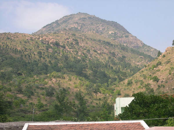ಅಣ್ಣಾಮಲೈ ಪರ್ವತ ಶ್ರೇಣಿ: