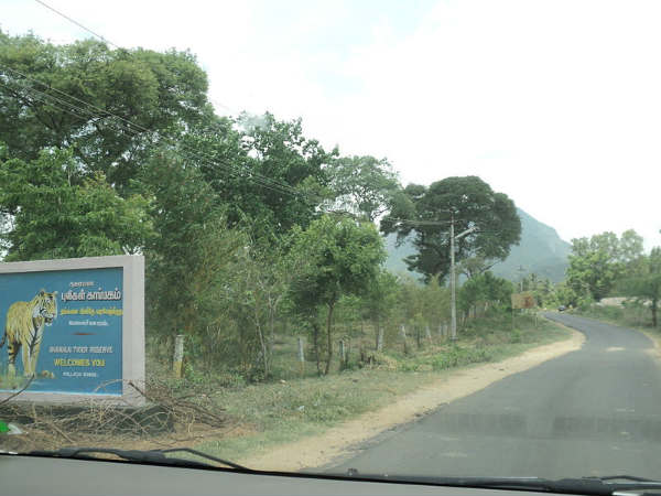 ಅಣ್ಣಾಮಲೈ ಪರ್ವತ ಶ್ರೇಣಿ:
