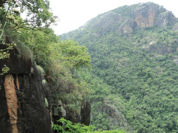 ರಮಣೀಯ ಸೌಂದರ್ಯದ ಕೊಲ್ಲಿ ಬೆಟ್ಟಗಳು: