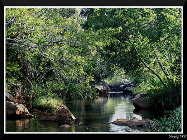 ರಮಣೀಯ ಸೌಂದರ್ಯದ ಕೊಲ್ಲಿ ಬೆಟ್ಟಗಳು:
