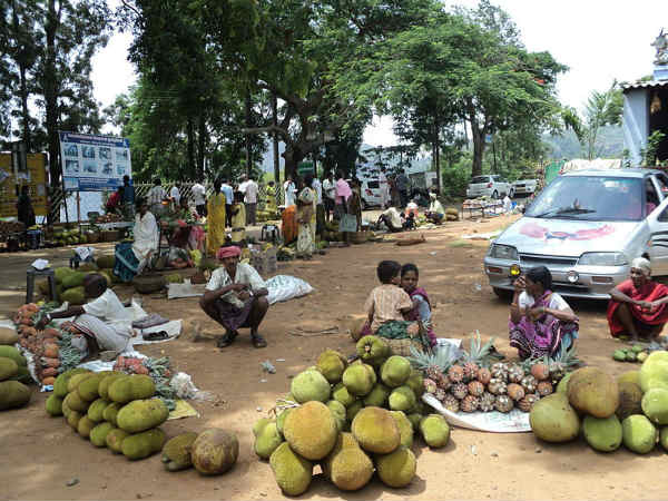 ರಮಣೀಯ ಸೌಂದರ್ಯದ ಕೊಲ್ಲಿ ಬೆಟ್ಟಗಳು: