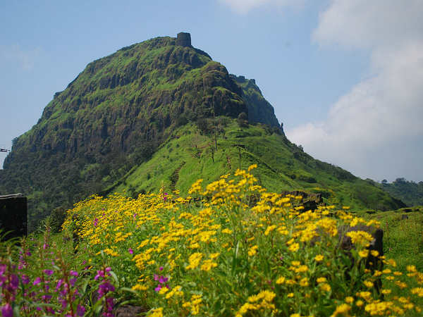 ರೋಮಾಂಚಕ ರಾಜಗಡ್ ಕೋಟೆ: