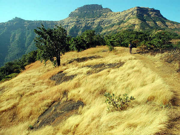 ರೋಮಾಂಚಕ ರಾಜಗಡ್ ಕೋಟೆ: