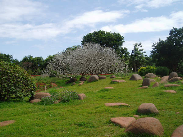 ತಂದೆಯಂದಿರು ಇಷ್ಟಪಡುವ ಸ್ಥಳಗಳು: