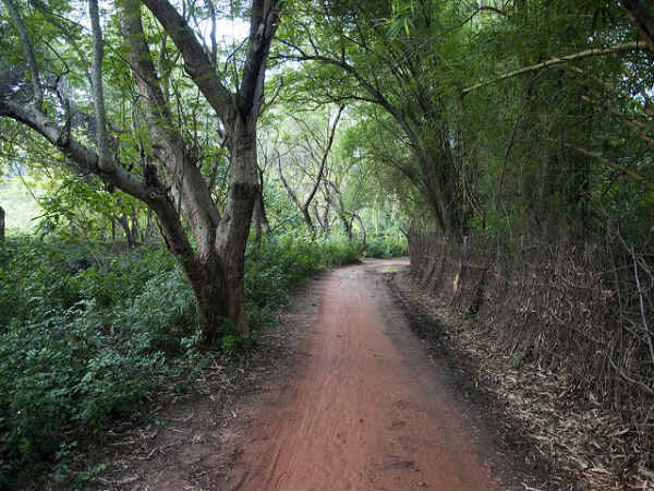 ತಂದೆಯಂದಿರು ಇಷ್ಟಪಡುವ ಸ್ಥಳಗಳು:
