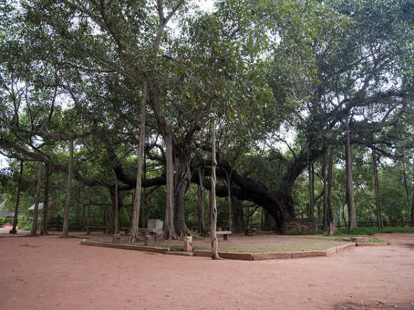 ತಂದೆಯಂದಿರು ಇಷ್ಟಪಡುವ ಸ್ಥಳಗಳು: