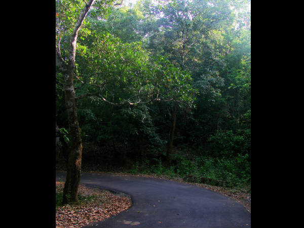 ಸಾತೋಡಿ ಹಾಗೂ ಮಾಗೋಡು ಜಲಪಾತಗಳು: