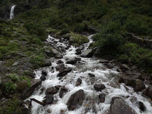 ಪುಷ್ಪಕಣಿವೆ ರಾಷ್ಟ್ರೀಯ ಉದ್ಯಾನ: