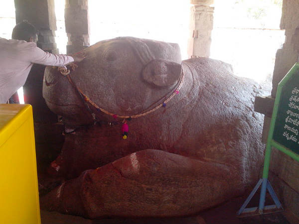 ಕುತೂಹಲಕರ ಯಾಗಂಟಿ ಉಮಾಮಹೇಶ್ವರ ಸನ್ನಿಧಿ ಕುತೂಹಲಕರ ಯಾಗಂಟಿ ಉಮಾಮಹೇಶ್ವರ ಸನ್ನಿಧಿ