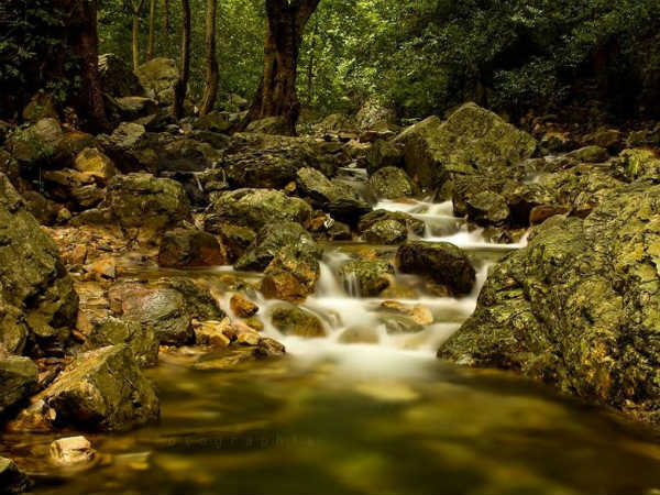 ಆಂಧ್ರದ ಸುಂದರ ಜಲಪಾತಗಳು: