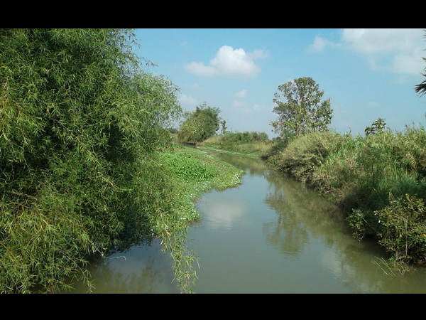ಕರ್ನಾಟಕದ ಸುಂದರ ನದಿಗಳು:
