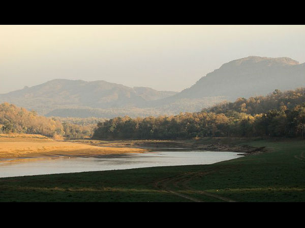 ಹುಲಿಗಳಿರುವ ಅದ್ಭುತ ಕಾಡುಗಳು: