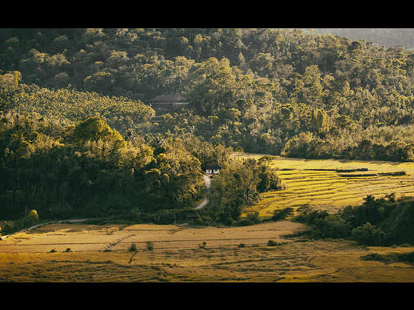 ಅನ್ನಪೂರ್ಣೆಯ ದೇವಾಲಯ, ಮಹಿಮೆ ಗೊತ್ತೆ? ಅನ್ನಪೂರ್ಣೆಯ ದೇವಾಲಯ, ಮಹಿಮೆ ಗೊತ್ತೆ?