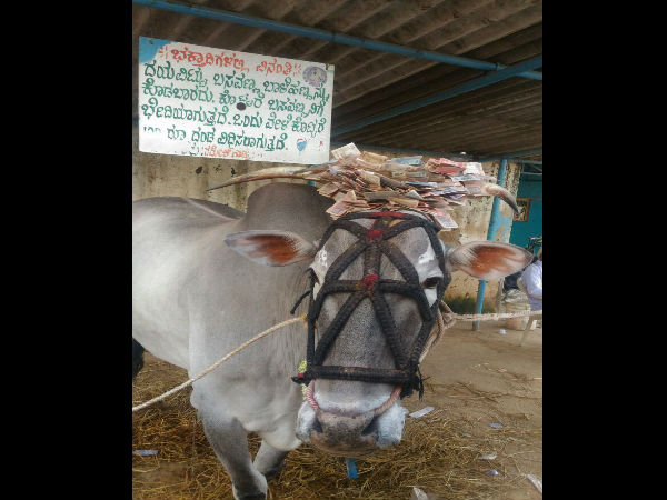 ಇಷ್ಟಾರ್ಥಗಳನ್ನು ಈಡೇರಿಸುವ ಕಬ್ಬಾಳಮ್ಮ ಇಷ್ಟಾರ್ಥಗಳನ್ನು ಈಡೇರಿಸುವ ಕಬ್ಬಾಳಮ್ಮ