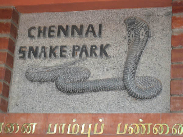 ಅದ್ಭುತ ಸರ್ಪಗಳ ಉದ್ಯಾನಗಳು