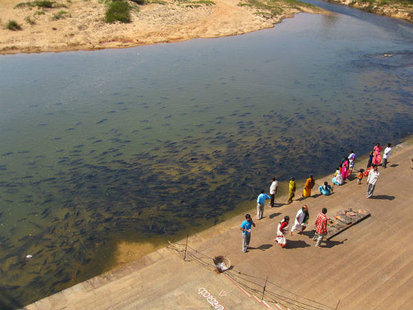 ನಾಲ್ಕು ಮಹಾ ಜಗತ್ಪೀಠಗಳು: