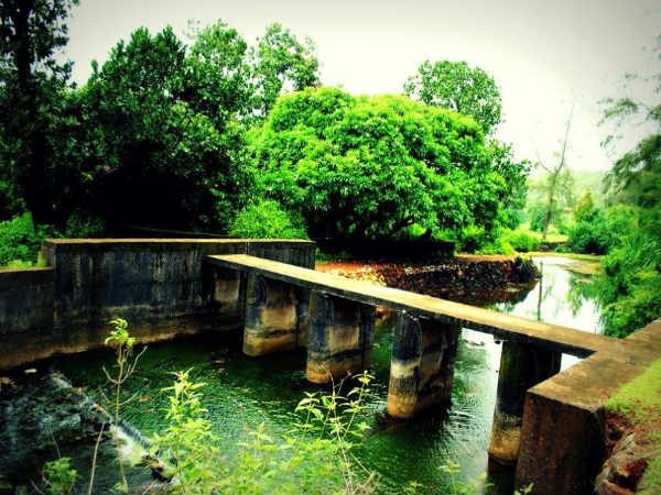 ಮನಸ್ಸು ಪ್ರಸನ್ನಗೊಳಿಸುವ ಅಪ್ಸರಕೊಂಡ: