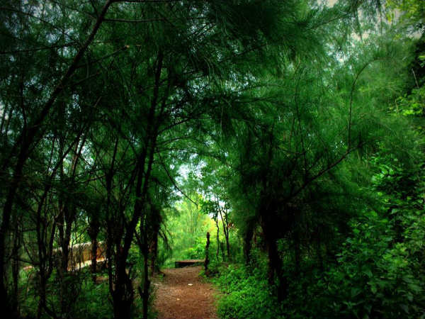 ಮನಸ್ಸು ಪ್ರಸನ್ನಗೊಳಿಸುವ ಅಪ್ಸರಕೊಂಡ: