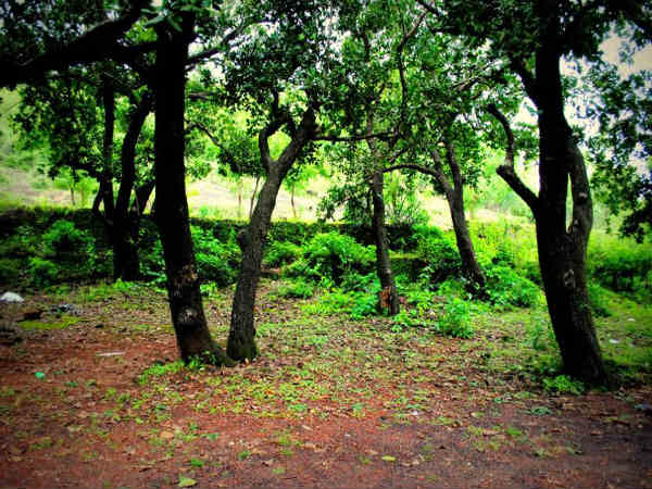 ಮನಸ್ಸು ಪ್ರಸನ್ನಗೊಳಿಸುವ ಅಪ್ಸರಕೊಂಡ: