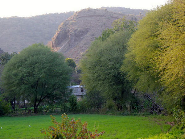 ನಗ್ಡಾದ ಅತ್ತೆ ಸೊಸೆ ದೇವಾಲಯ :