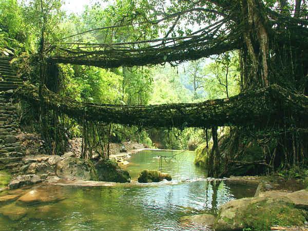ದಂಗುಬಡಿಸುವ ಪ್ರಾಕೃತಿಕ ವಿಸ್ಮಯಗಳು: