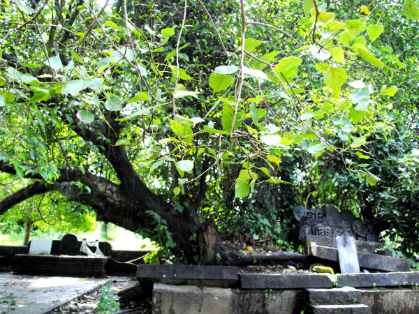 ಪಾಜಕ ಶ್ರೀಕ್ಷೇತ್ರ: