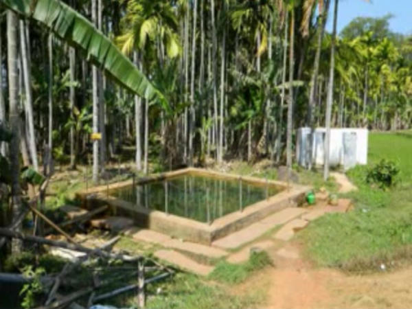 ಗುಳಿ ಗುಳಿ ಶಂಕರ, ಇದು ಮಾಯಾ ಹೊಂಡ! ಗುಳಿ ಗುಳಿ ಶಂಕರ, ಇದು ಮಾಯಾ ಹೊಂಡ!