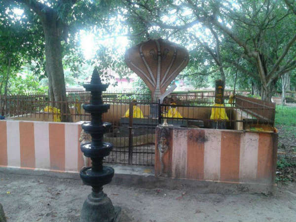 ಪರಶುರಾಮರಿಗೆ ಒಲಿದು ನೆಲೆಸಿದ ನಾಗರಾಜಸ್ವಾಮಿ ಪರಶುರಾಮರಿಗೆ ಒಲಿದು ನೆಲೆಸಿದ ನಾಗರಾಜಸ್ವಾಮಿ