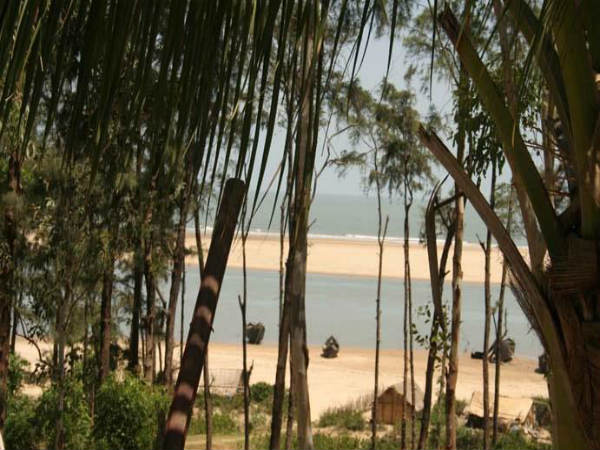 ತಲಸಾರಿ