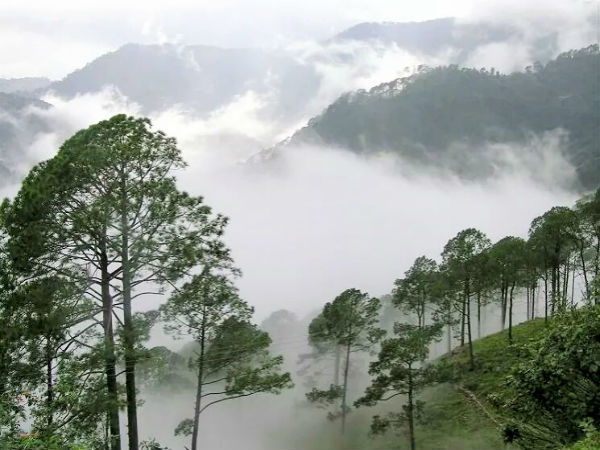 ಆಂಧ್ರದಲ್ಲಿದೆ